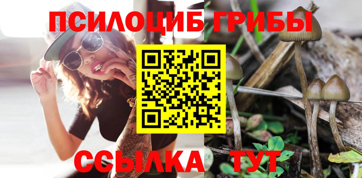 Галлюциногенные грибы Magic Shrooms  Галлюциногенные грибы мухоморы  Вход с VPN  Тайшет 